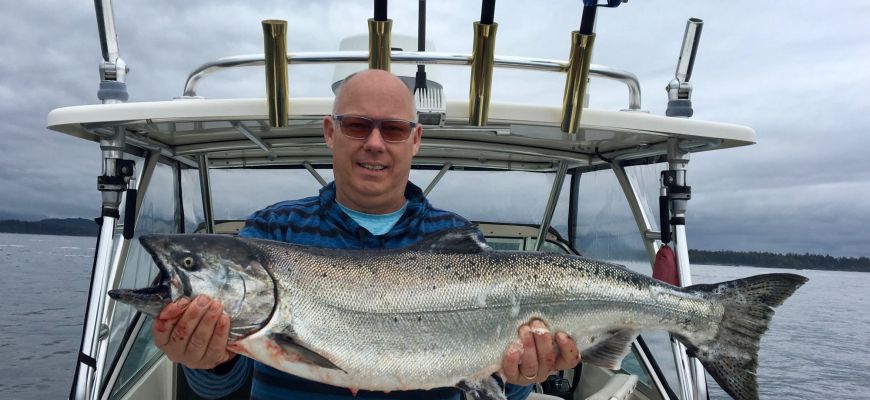 Hatchery marked Chinook Salmon Tofino